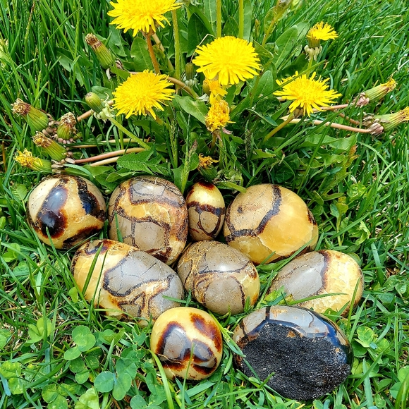 Septarian Nodules Plam Stones Dragon egg - Picture 6 of 11